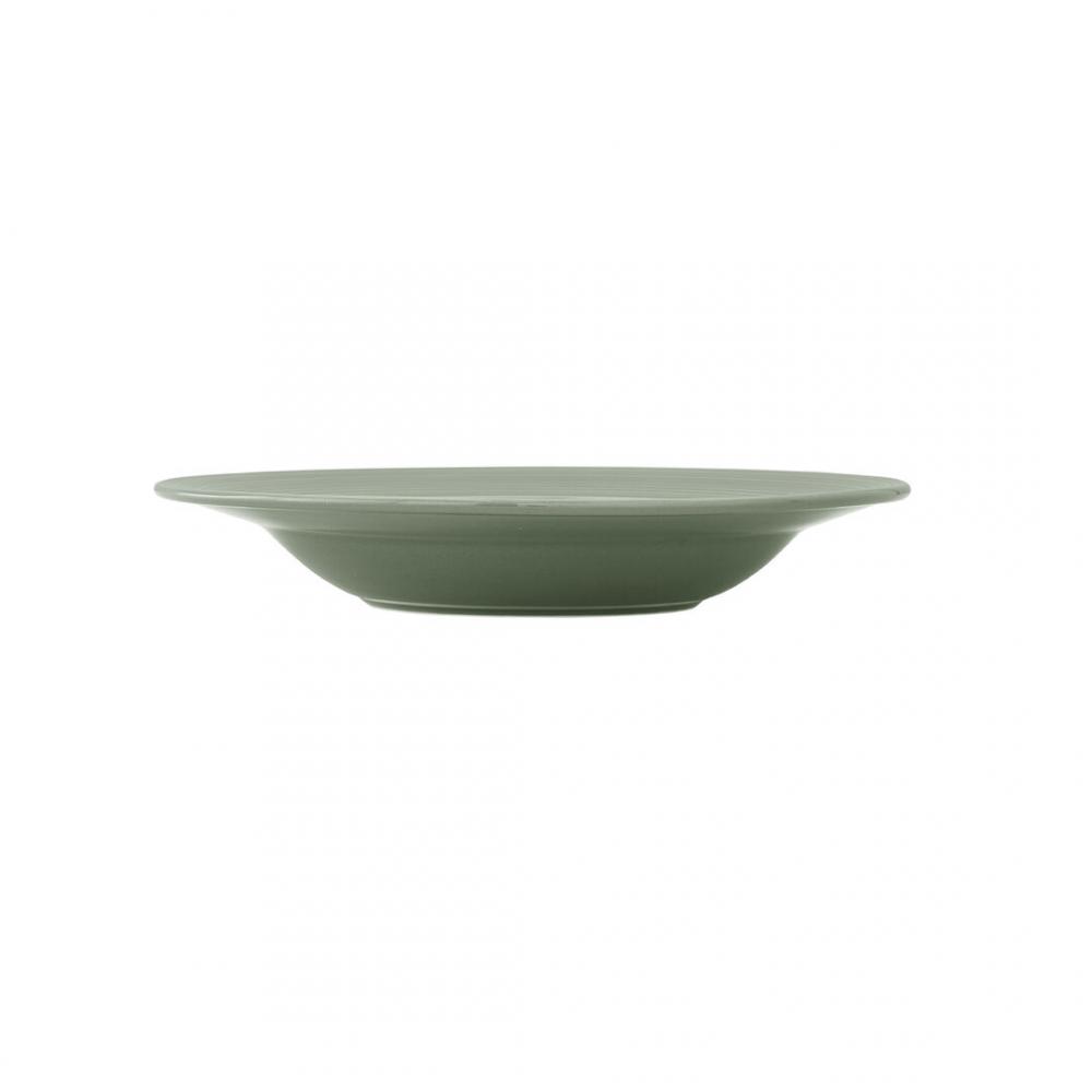 Concorde Fern Rim Soup Plate 24cm 31cl (9 1/2 11oz) - 6360MP323 (Pack of 12)