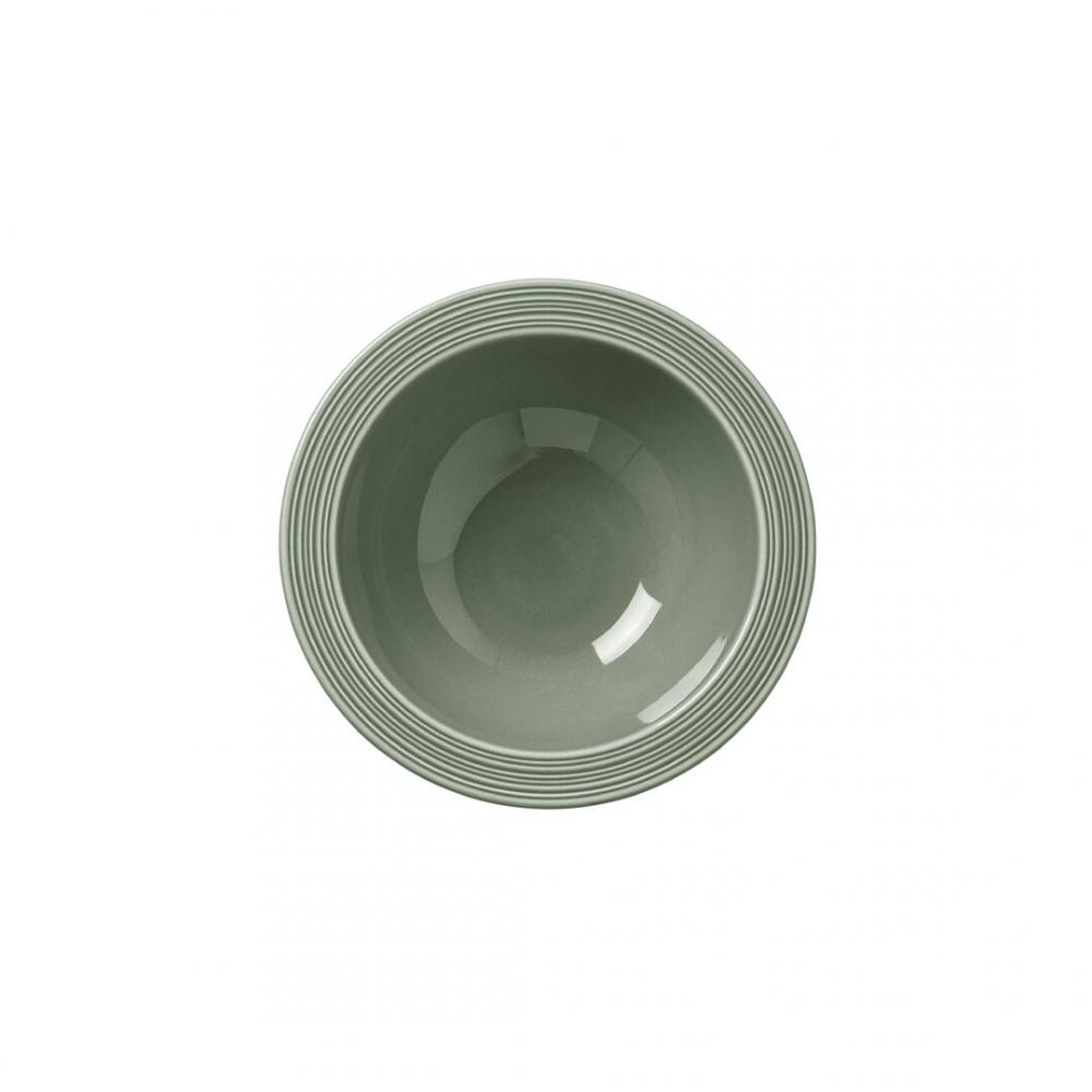 Concorde Fern Oatmeal Bowl 16.5cm 34cl (6 1/2 12oz) - 6360MP324 (Pack of 12)