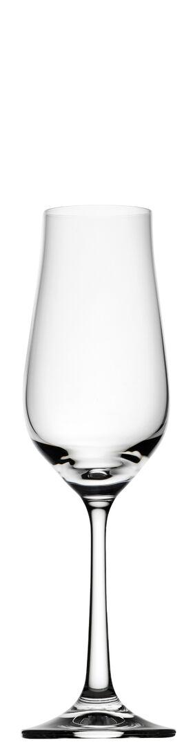 Praline Prosecco 4oz (10cl) - R20000-000000-B01004 (Pack of 4)