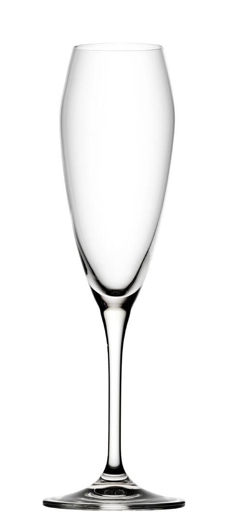 Bravissimo Flute 8.5oz (24cl) - R20044-000000-B01006 (Pack of 6)