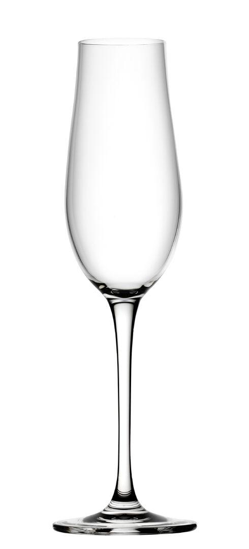 Tigris Flute 8.25oz (23.5cl) - R255107-00000-B01006 (Pack of 6)