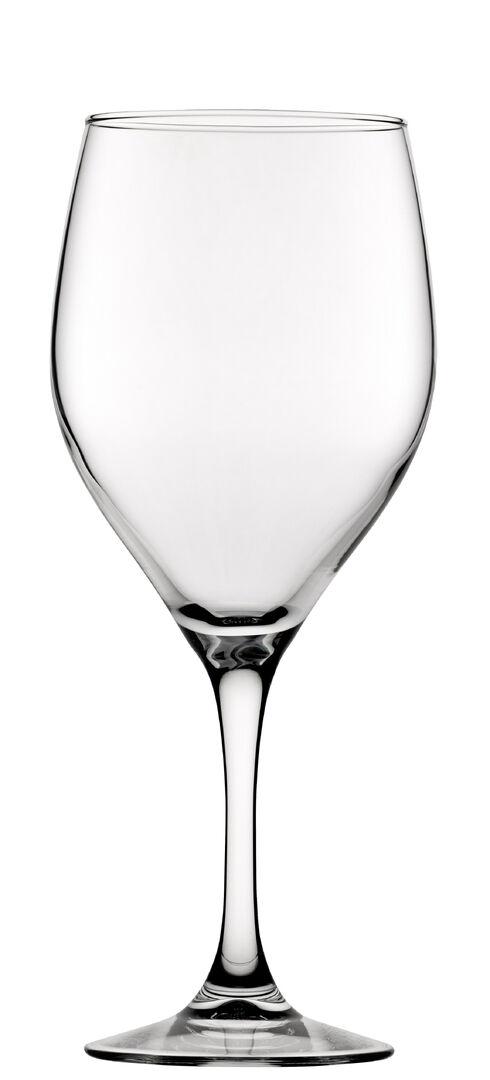 FT Sauvignon Goblet 20.25oz(58cl) - V0765-000000-B01006 (Pack of 6)